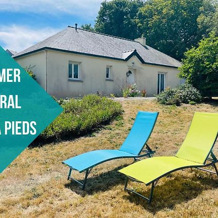 Maison Spacieuse A Deux Pas De La Plage Roscanvel Zewnętrze zdjęcie